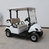 Coche de club de golf de 2 plazas Buggy Golf con tablero LED