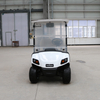 Coche de club de golf de 2 plazas Buggy Golf con tablero LED