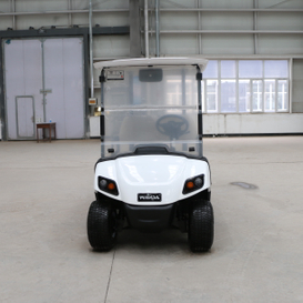 Coche de club de golf de 2 plazas Buggy Golf con tablero LED