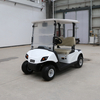 Coche de club de golf de 2 plazas Buggy Golf con tablero LED