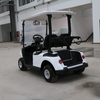 Coche de club de golf de 2 plazas Buggy Golf con tablero LED