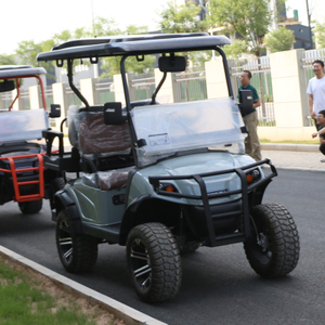 Nuevo y potente carrito de golf eléctrico de 4 ruedas para club