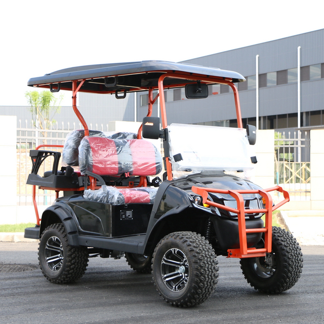 Carro de golf eléctrico de 2 asientos, pequeño Buggy con cargador de batería de 48V