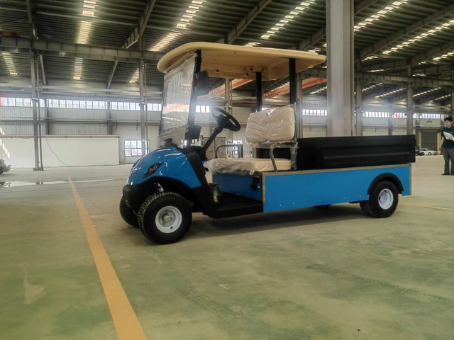 Gran capacidad de cargamento de Seater del buggy 2 del golf del vehículo de carga del golf del mini transporte eléctrico con la plataforma de descarga