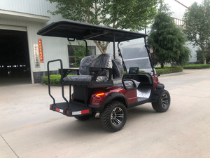 Venda el nuevo carrito de golf todoterreno eléctrico N para personalizar la carrocería